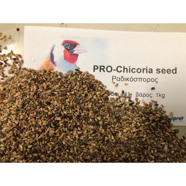 PRO-CHICORIA seed, 1kg