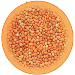 Βορί 100gr (τιμή κιλού 1,80€) Βορί 100gr (τιμή κιλού 1,80€)