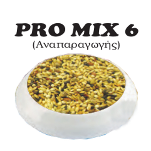 PROFESSIONAL MIX Pro mix 6 20kg + 2kg Δώρο