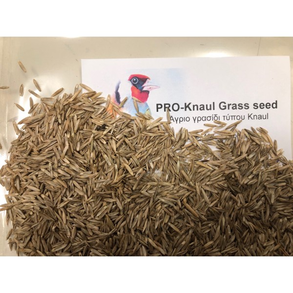 PRO-Knaul GRASS seeds 1kg