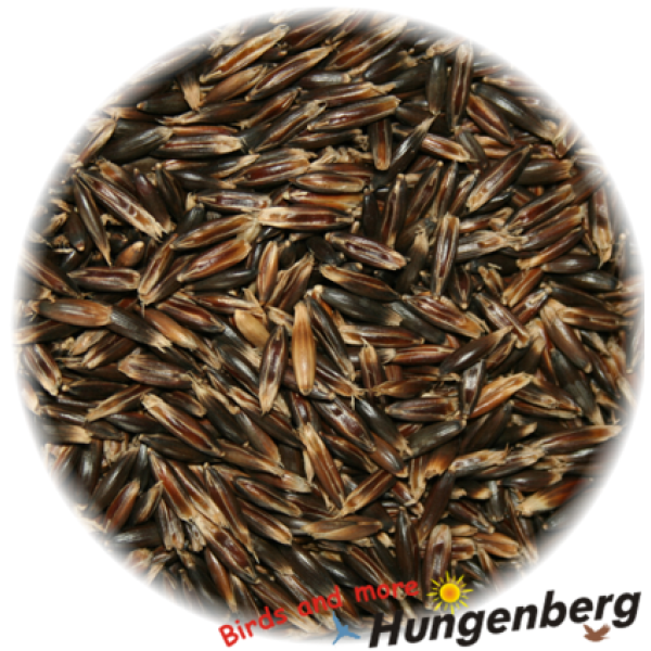 Hungenberg - Μαύρη Βρώμη - 1 κιλό