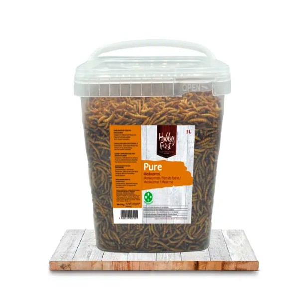 Hobby First King Σκουλήκι Αποξηραμένο Mealworms 1kg