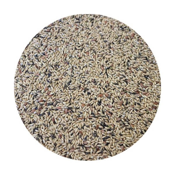 Ornitalia - Canarini Extra - Μείγμα Extra Για Καναρίνια (1111) - 20kg