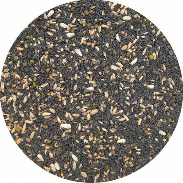 Ornitalia - MISCELA GERMINABILE CANARINI - Σπόροι βλαστώματος για καναρίνι (χρώματος και τύπου) - 5kg