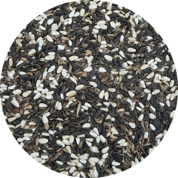 Ornitalia - MISCELA GREG germinabile CARDELLINI MAJOR - Σπόροι βλαστώματος για καρδερίνες - 1kg