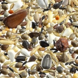 Ornitalia - MISCELA GREG FROSONI, CROCIERI - Μείγμα για σταυρομύτες και χονδρομύτες - 5kg