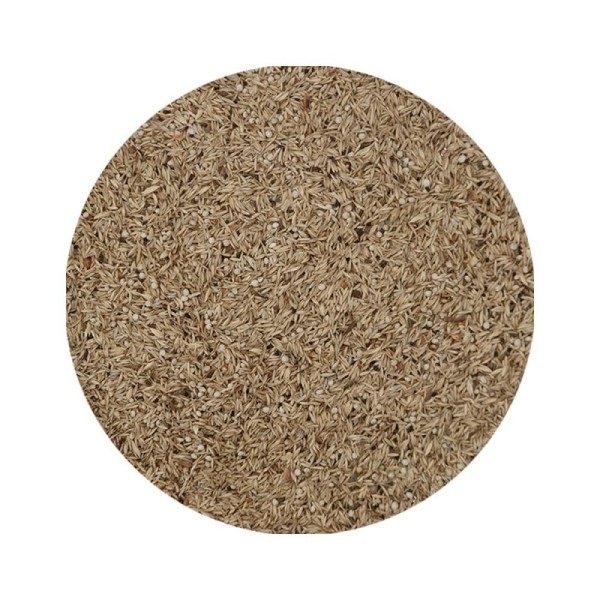 Ornitalia - MISCELA GREG START 0-15 con semi di conifere - Συμπληρωματικό μείγμα σπόρων για αναπαραγωγή - 700gr