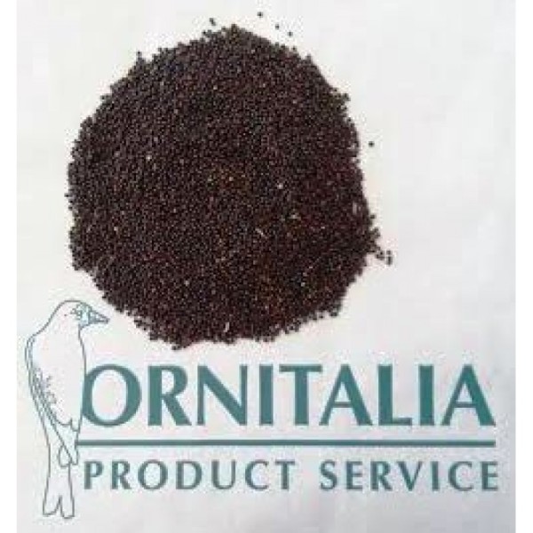 Ornitalia - RED RAPE SEEDS - Κόκκινο ρούψεν - 1kg