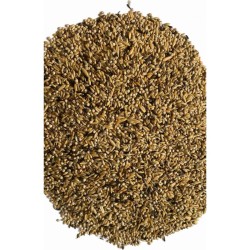 Pico - Condition Mix - Condition μείγμα για καναρίνια ποζιτούρας και χρώματος - Σοδιάς 2023 - 5kg