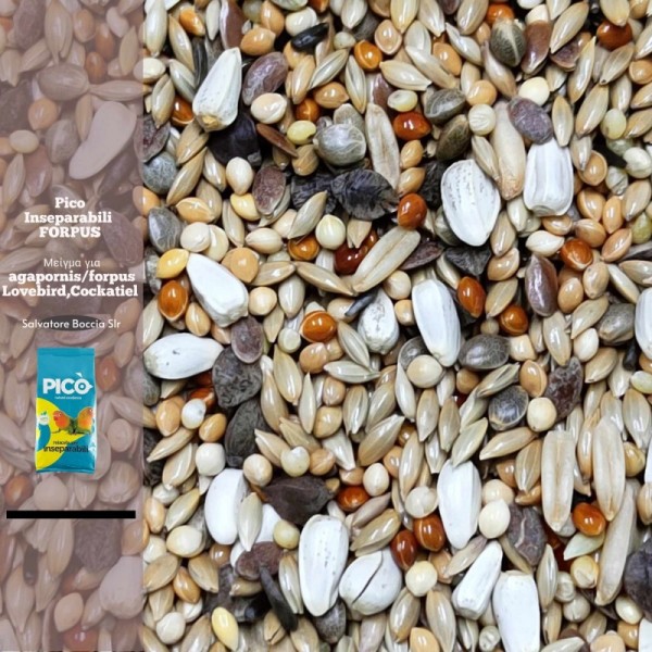 Pico - Inseparabili FORPUS – Μείγμα για Agapornis & Forpus – 1kg | ???? Σοδειάς 2024