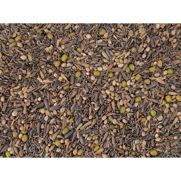 Pico - Semi Germinabili - Μείγμα σπόρων βλαστώματος για καναρίνια και ιθαγενή (δεν προκαλεί ανεπιθύμητο χρωματισμό πτερώματος) - 5kg