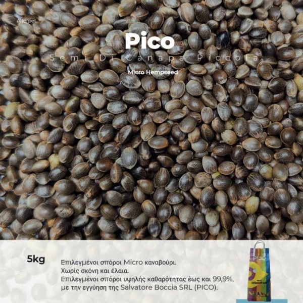 Pico - Canapa Piccolo - Καναβούρι MICRO - 5kg