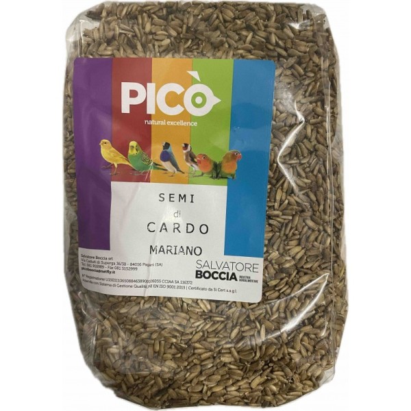 Pico - Cardo Mariano - Αγκάθι Μαρίας - 1kg