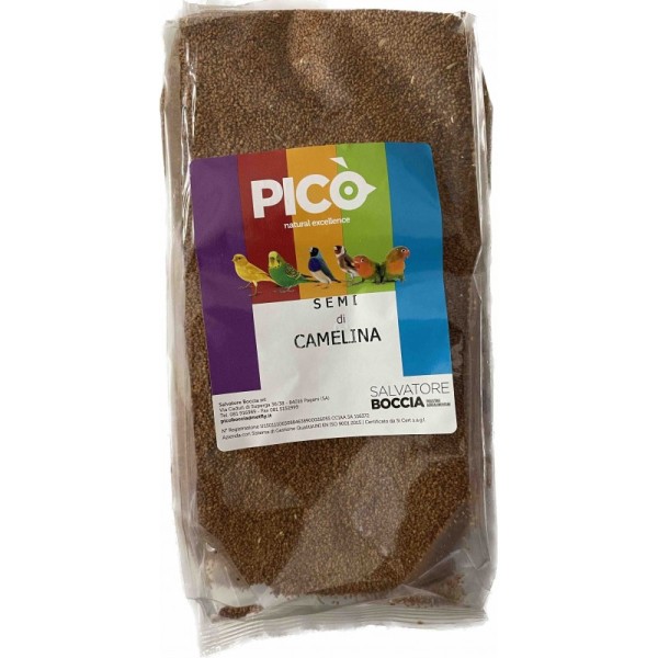 Pico CAMELINA SATIVA - Καμελίνα - 1kg