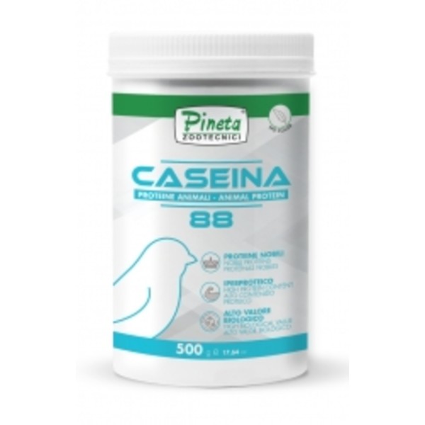 PINETA-Πρωτεϊνη CASEINA 85%, 500gr