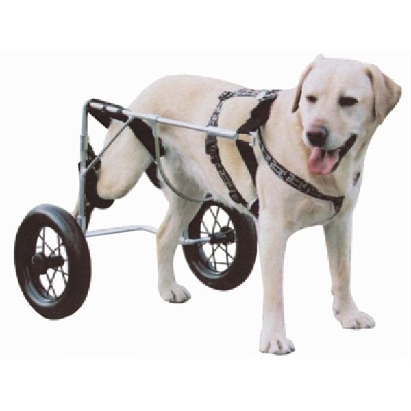 Αναπηρικό καρότσι σκύλου, Large