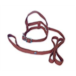 Επιστήθιο ραιγιόν με οδηγό, για μικρού μεγέθους σ&a