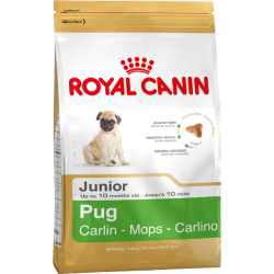 Royal Canin PUG JUNIOR 1,5Kg