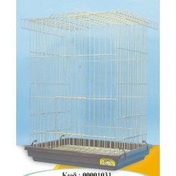 ΚΛΟΥΒΙ ΠΑΠΑΓΑΛΩΝ ΑΜΑΖΟΝ ΚΛΟΥΒΙ ΠΑΠΑΓΑΛΩΝ ΑΜΑΖΟΝ