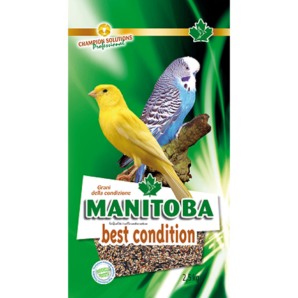 MANITOBA Best Condition 2,5Kg