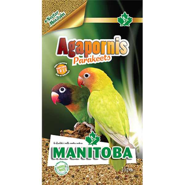Manitoba Agapornis Parakeets 1kg