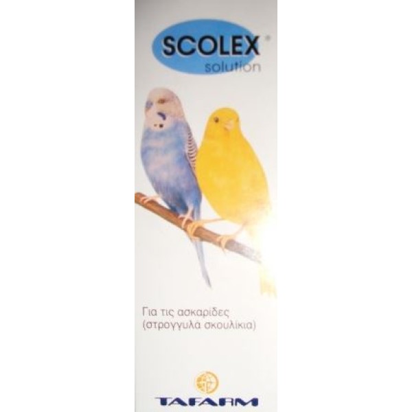 Scolex 15ml
