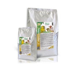 PINETA-Pate INDIGOS, soft 1kg
