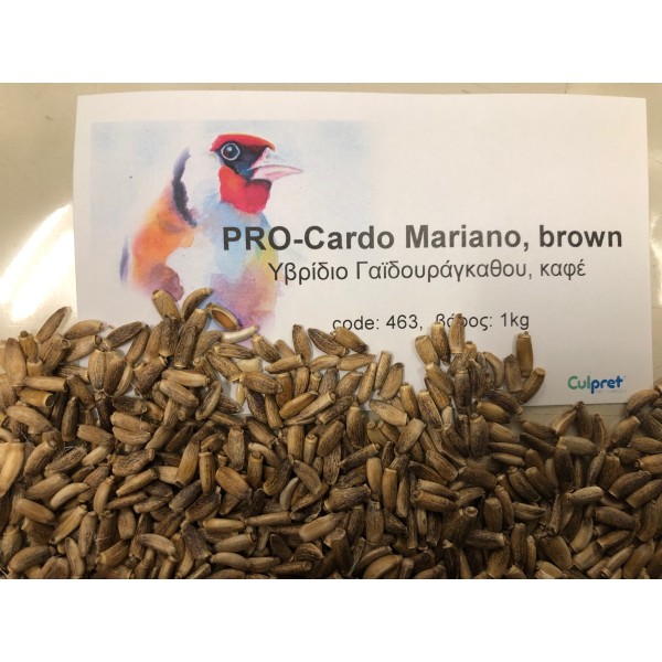 PRO-Thistle Seed MARIANO 1kg